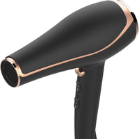 The Double Shine Ionic Dryer